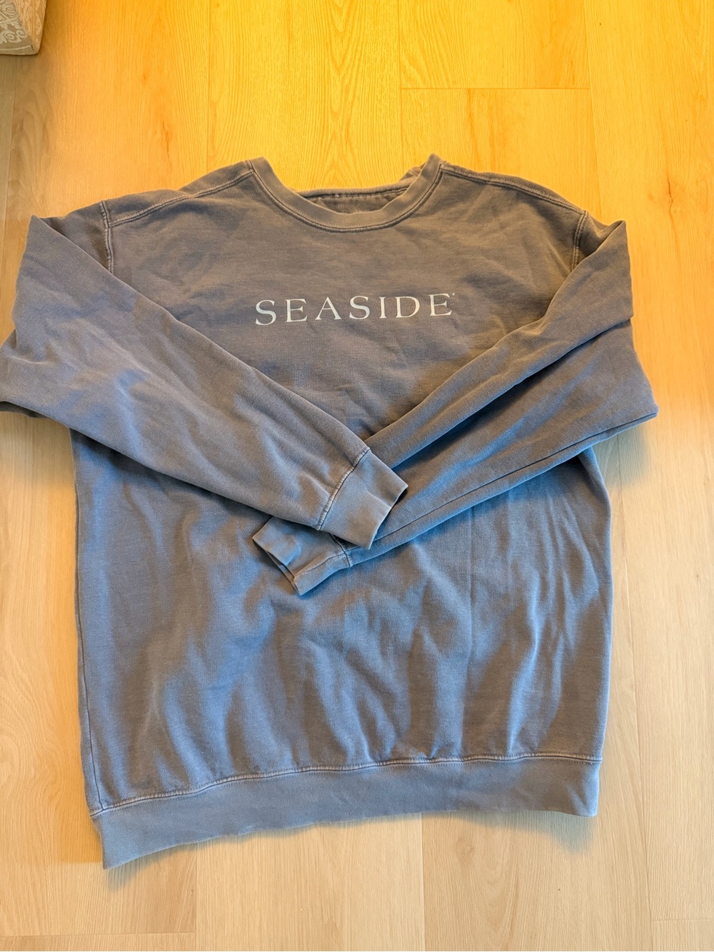 Women’s / unisex  SEASIDE 30A Crewneck Sweatshirt sz large